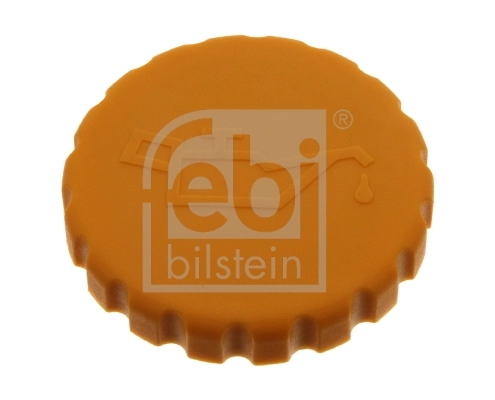 Sealing Cap, oil filler neck
